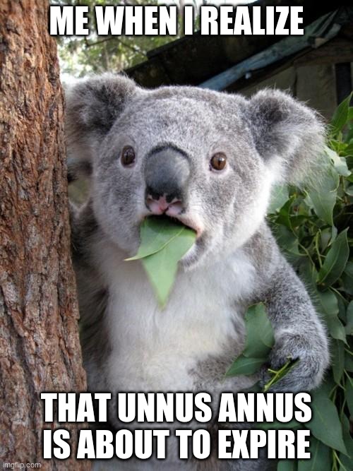 Surprised Koala | ME WHEN I REALIZE; THAT UNNUS ANNUS IS ABOUT TO EXPIRE | image tagged in memes,surprised koala | made w/ Imgflip meme maker