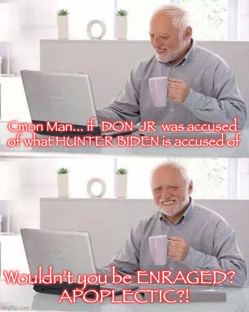 Hide the Pain Harold Meme | Cmon Man... if  DON  JR  was accused 
of what HUNTER BIDEN is accused of; Wouldn’t you be ENRAGED?  
APOPLECTIC?! | image tagged in memes,hide the pain harold | made w/ Imgflip meme maker