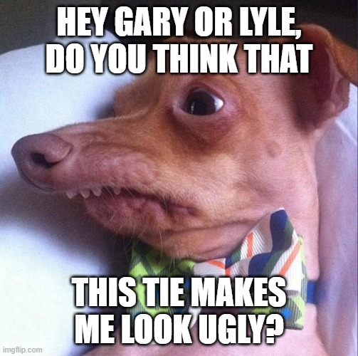 Bow Tie | HEY GARY OR LYLE,
DO YOU THINK THAT; THIS TIE MAKES ME LOOK UGLY? | image tagged in tuna the dog phteven | made w/ Imgflip meme maker