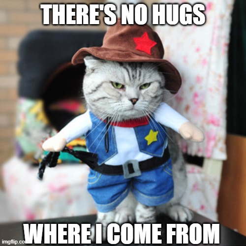 Grumpy Catboy (Get it?) | THERE'S NO HUGS; WHERE I COME FROM | image tagged in grumpy cat,cowboy,cat | made w/ Imgflip meme maker