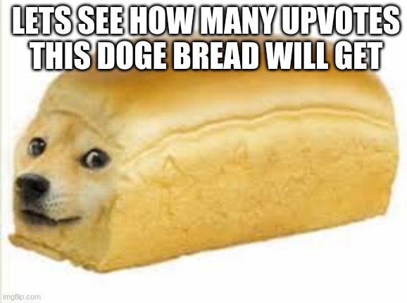 Doge bread | LETS SEE HOW MANY UPVOTES THIS DOGE BREAD WILL GET | image tagged in memes | made w/ Imgflip meme maker