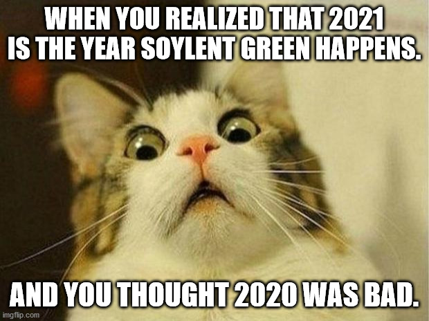 2020 is a Practice Run for 2021 | WHEN YOU REALIZED THAT 2021 IS THE YEAR SOYLENT GREEN HAPPENS. AND YOU THOUGHT 2020 WAS BAD. | image tagged in memes,scared cat,soylent green | made w/ Imgflip meme maker