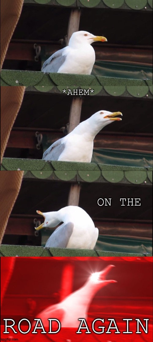 Inhaling Seagull | *AHEM*; ON THE; ROAD AGAIN | image tagged in memes,inhaling seagull | made w/ Imgflip meme maker