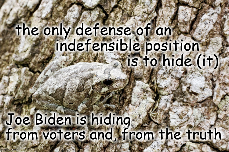 biden-hiding-imgflip