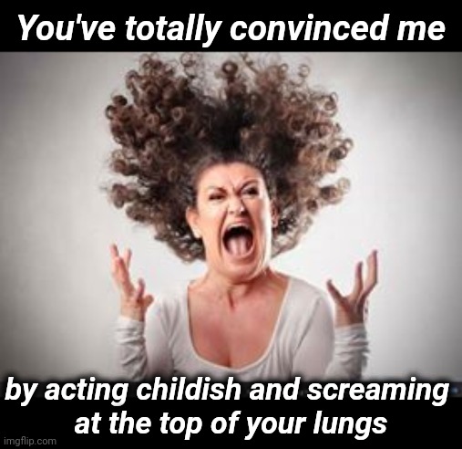 Crazy woman | You've totally convinced me; by acting childish and screaming 
at the top of your lungs | image tagged in crazy woman | made w/ Imgflip meme maker