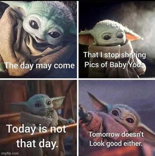 Never stop sharing the child memes | image tagged in baby yoda | made w/ Imgflip meme maker
