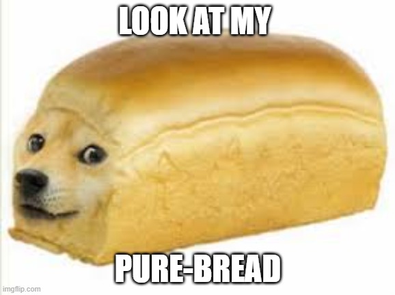 Doge bread | LOOK AT MY; PURE-BREAD | image tagged in doge bread | made w/ Imgflip meme maker