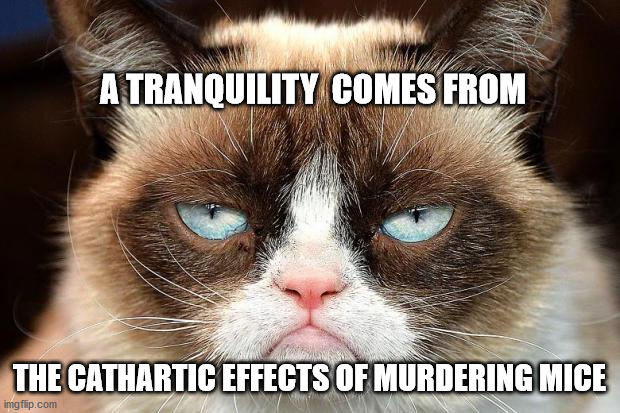 Grumpy Cat Not Amused | A TRANQUILITY  COMES FROM; THE CATHARTIC EFFECTS OF MURDERING MICE | image tagged in memes,grumpy cat not amused,grumpy cat | made w/ Imgflip meme maker