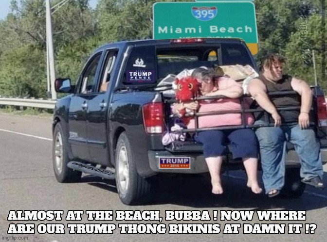 image tagged in trump supporters,thong,bikini,florida,fat people,clown car republicans | made w/ Imgflip meme maker