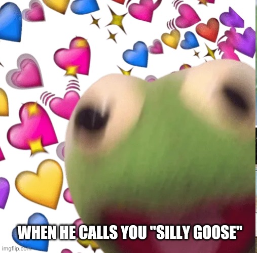 WHEN HE CALLS YOU "SILLY GOOSE" | image tagged in relationships | made w/ Imgflip meme maker