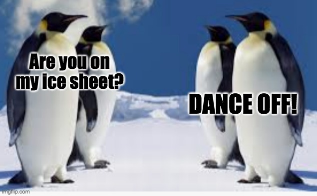 Cold war | Are you on my ice sheet? DANCE OFF! | image tagged in that's cold | made w/ Imgflip meme maker