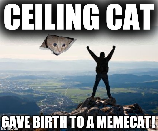 Shout It from the Mountain Tops | CEILING CAT GAVE BIRTH TO A MEMECAT! | image tagged in shout it from the mountain tops | made w/ Imgflip meme maker