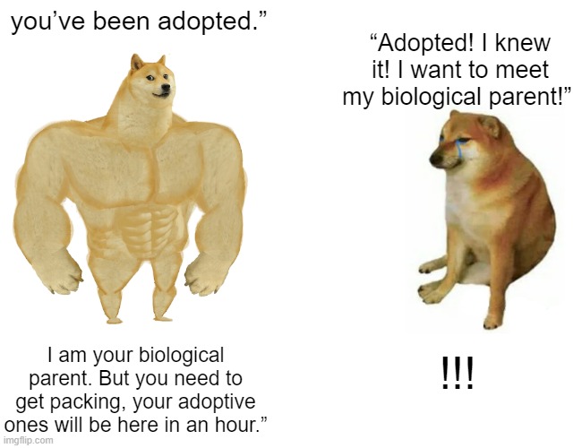 adopted | you’ve been adopted.”; “Adopted! I knew it! I want to meet my biological parent!”; I am your biological parent. But you need to get packing, your adoptive ones will be here in an hour.”; !!! | image tagged in memes,buff doge vs cheems | made w/ Imgflip meme maker