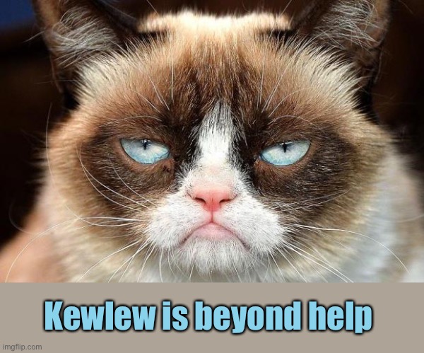 Grumpy Cat Not Amused Meme | Kewlew is beyond help | image tagged in memes,grumpy cat not amused,grumpy cat | made w/ Imgflip meme maker