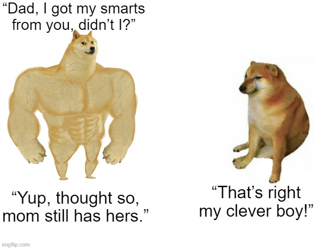 Smarter pup | “Dad, I got my smarts from you, didn’t I?”; “That’s right my clever boy!”; “Yup, thought so, mom still has hers.” | image tagged in dogs | made w/ Imgflip meme maker