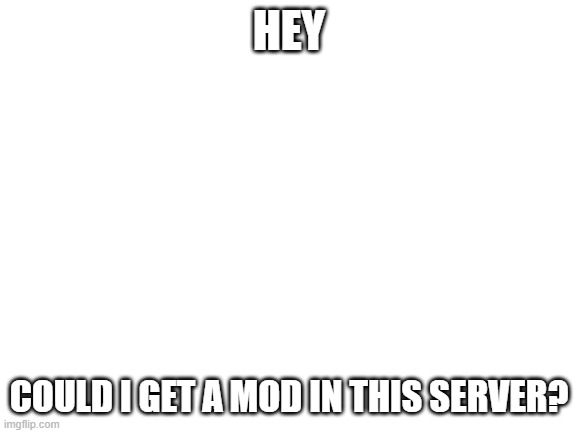 mod | HEY; COULD I GET A MOD IN THIS SERVER? | image tagged in blank white template | made w/ Imgflip meme maker