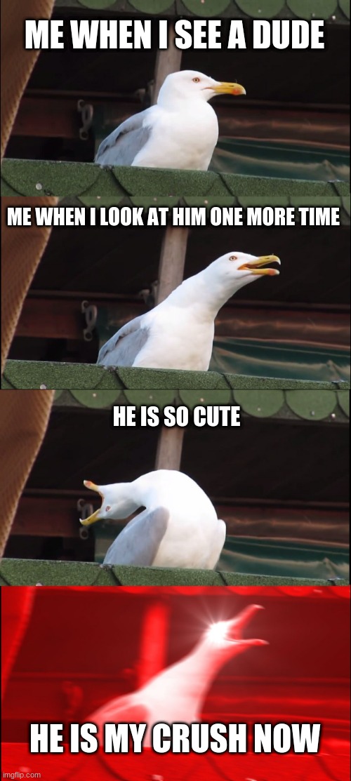 Inhaling Seagull | ME WHEN I SEE A DUDE; ME WHEN I LOOK AT HIM ONE MORE TIME; HE IS SO CUTE; HE IS MY CRUSH NOW | image tagged in memes,inhaling seagull | made w/ Imgflip meme maker