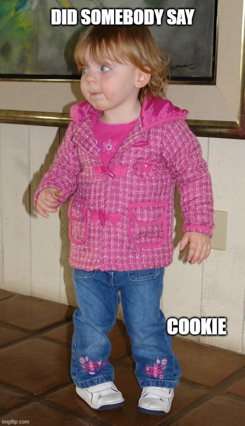 did somebody say | DID SOMEBODY SAY; COOKIE | image tagged in did somebody say | made w/ Imgflip meme maker