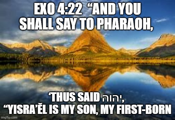Yisra'el is my son, my first born | EXO 4:22  “AND YOU SHALL SAY TO PHARAOH, ‘THUS SAID יהוה, 
“YISRA’ĚL IS MY SON, MY FIRST-BORN | image tagged in old testament | made w/ Imgflip meme maker