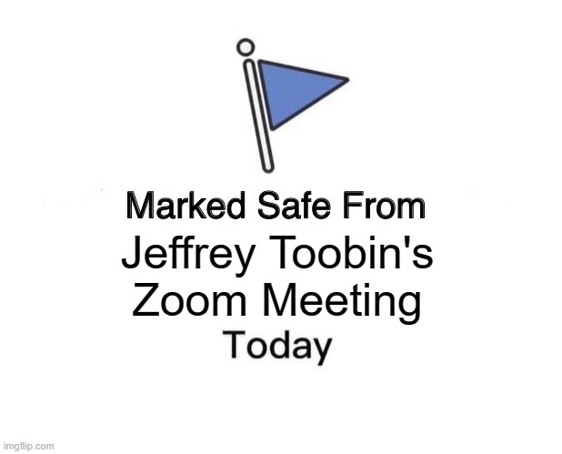 Marked Safe From Meme | Jeffrey Toobin's
Zoom Meeting | image tagged in memes,marked safe from | made w/ Imgflip meme maker