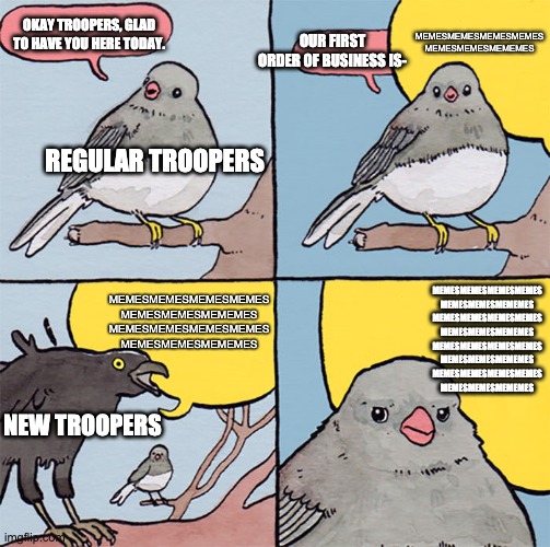 Stop spamming the stream with unrelated memes, thank you. | MEMESMEMESMEMESMEMES
MEMESMEMESMEMEMES; OUR FIRST ORDER OF BUSINESS IS-; OKAY TROOPERS, GLAD TO HAVE YOU HERE TODAY. REGULAR TROOPERS; MEMESMEMESMEMESMEMES
MEMESMEMESMEMEMES
MEMESMEMESMEMESMEMES
MEMESMEMESMEMEMES; MEMESMEMESMEMESMEMES
MEMESMEMESMEMEMES
MEMESMEMESMEMESMEMES
MEMESMEMESMEMEMES
MEMESMEMESMEMESMEMES
MEMESMEMESMEMEMES
MEMESMEMESMEMESMEMES
MEMESMEMESMEMEMES; NEW TROOPERS | image tagged in interrupting bird | made w/ Imgflip meme maker