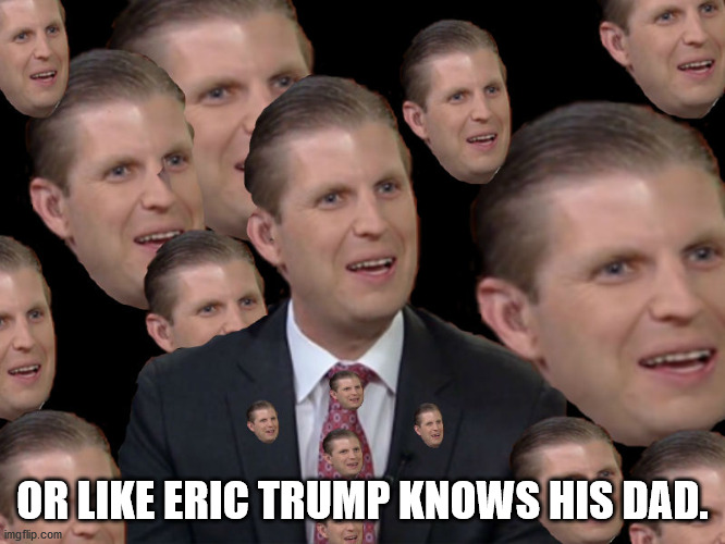 Eric Trump | OR LIKE ERIC TRUMP KNOWS HIS DAD. | image tagged in eric trump | made w/ Imgflip meme maker
