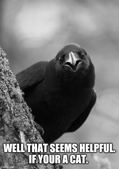 Why Raven | WELL THAT SEEMS HELPFUL.
IF YOUR A CAT. | image tagged in why raven | made w/ Imgflip meme maker