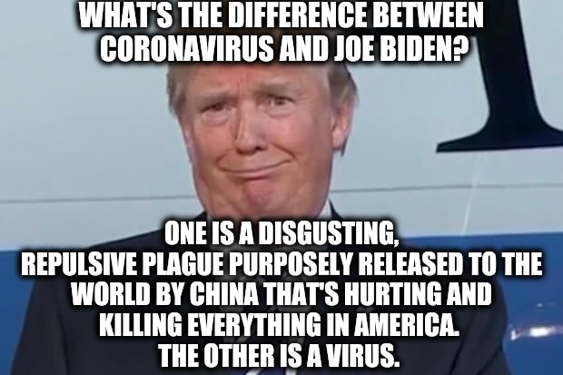 donald trump | WHAT'S THE DIFFERENCE BETWEEN
 CORONAVIRUS AND JOE BIDEN? ONE IS A DISGUSTING,
REPULSIVE PLAGUE PURPOSELY RELEASED TO THE
WORLD BY CHINA THAT'S HURTING AND
KILLING EVERYTHING IN AMERICA. 
THE OTHER IS A VIRUS. | image tagged in donald trump | made w/ Imgflip meme maker