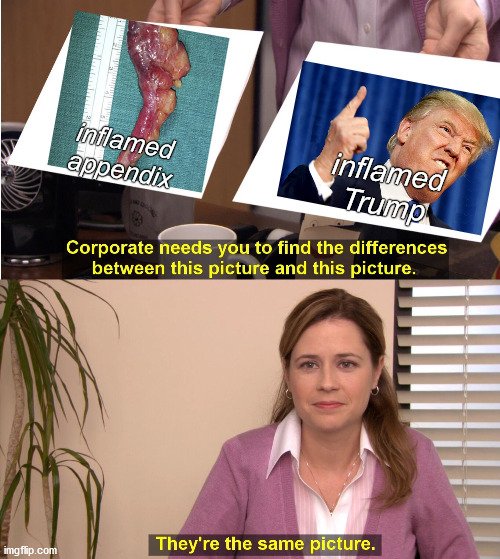 Yep, they share more than one similarity... | inflamed appendix; inflamed Trump | image tagged in they're the same picture,trump,obsolete,dangerous,must be removed | made w/ Imgflip meme maker