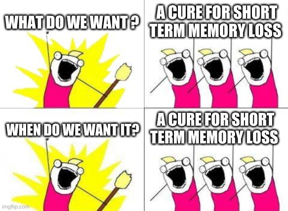 What Do We Want Meme | WHAT DO WE WANT ? A CURE FOR SHORT TERM MEMORY LOSS; A CURE FOR SHORT TERM MEMORY LOSS; WHEN DO WE WANT IT? | image tagged in memes,what do we want | made w/ Imgflip meme maker