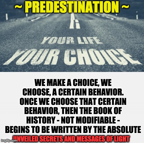 ~ PREDESTINATION ~; WE MAKE A CHOICE, WE CHOOSE, A CERTAIN BEHAVIOR. ONCE WE CHOOSE THAT CERTAIN BEHAVIOR, THEN THE BOOK OF HISTORY - NOT MODIFIABLE - BEGINS TO BE WRITTEN BY THE ABSOLUTE; UNVEILED SECRETS AND MESSAGES OF LIGHT | image tagged in predestination | made w/ Imgflip meme maker