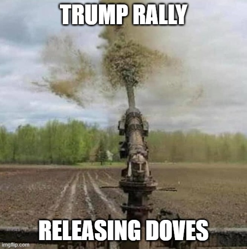 TRUMP RALLY; RELEASING DOVES | image tagged in donald trump,bullshit | made w/ Imgflip meme maker