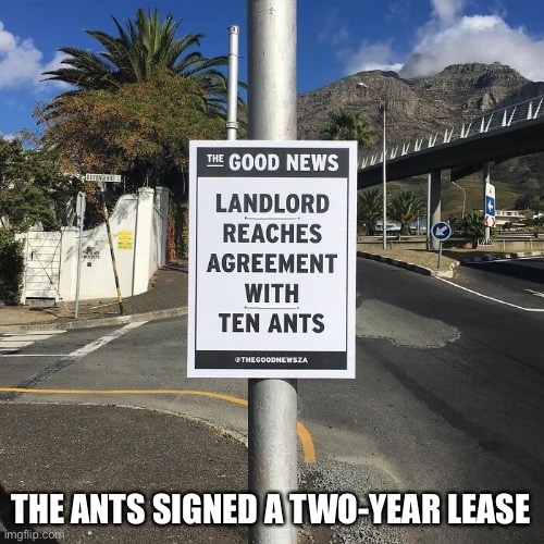 Ten Ants | THE ANTS SIGNED A TWO-YEAR LEASE | image tagged in funny memes,signs/billboards | made w/ Imgflip meme maker