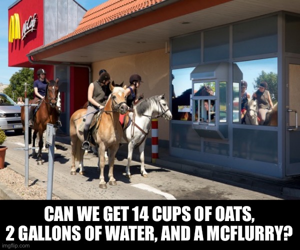 Trot Through Window | CAN WE GET 14 CUPS OF OATS, 2 GALLONS OF WATER, AND A MCFLURRY? | image tagged in funny memes,mcdonalds,drive thru | made w/ Imgflip meme maker