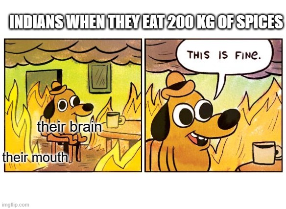 Spices | INDIANS WHEN THEY EAT 200 KG OF SPICES; their brain; their mouth | image tagged in memes,this is fine | made w/ Imgflip meme maker