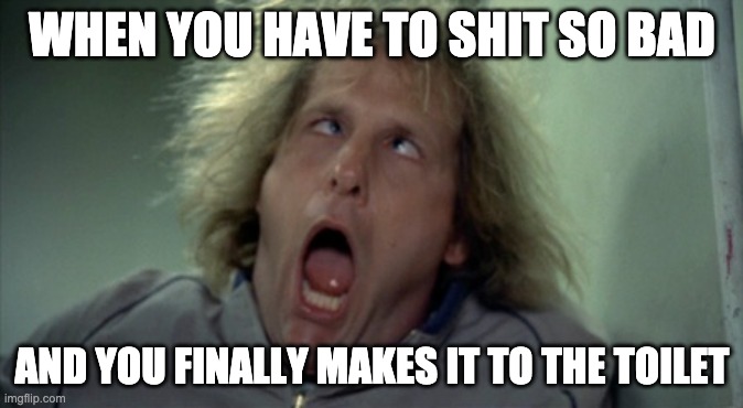 So true! | WHEN YOU HAVE TO SHIT SO BAD; AND YOU FINALLY MAKES IT TO THE TOILET | image tagged in memes,scary harry | made w/ Imgflip meme maker