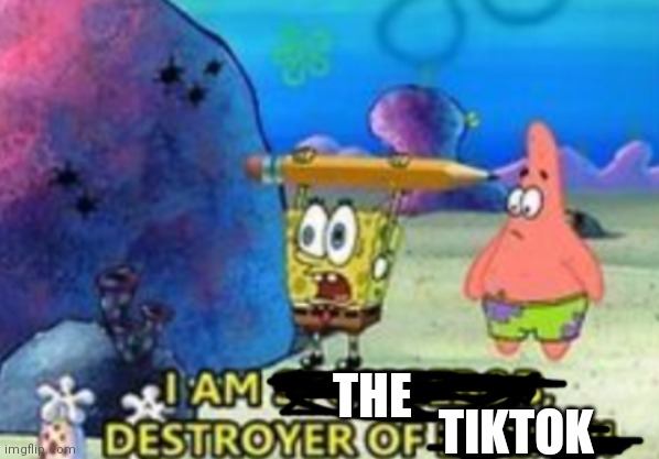 Destroyer of (blank) | THE TIKTOK | image tagged in destroyer of blank | made w/ Imgflip meme maker