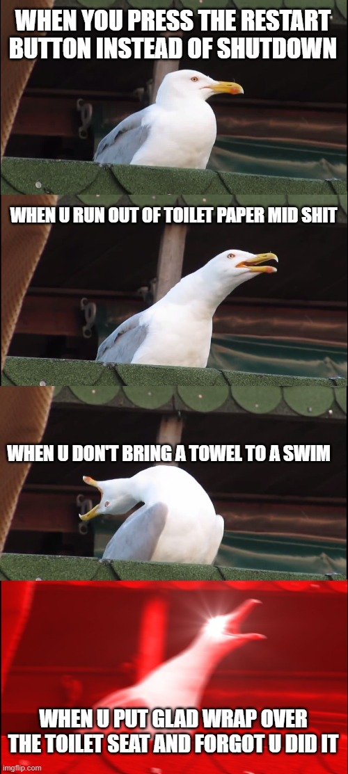Inhaling Seagull Meme | WHEN YOU PRESS THE RESTART BUTTON INSTEAD OF SHUTDOWN; WHEN U RUN OUT OF TOILET PAPER MID SHIT; WHEN U DON'T BRING A TOWEL TO A SWIM; WHEN U PUT GLAD WRAP OVER THE TOILET SEAT AND FORGOT U DID IT | image tagged in memes,inhaling seagull | made w/ Imgflip meme maker
