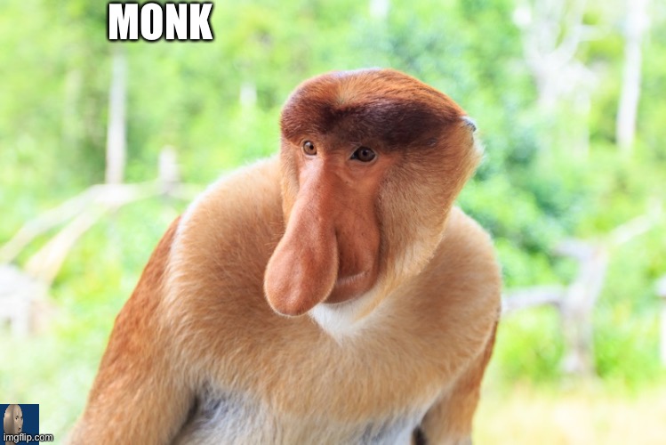 Monk | MONK | image tagged in meme man,funny,monk | made w/ Imgflip meme maker