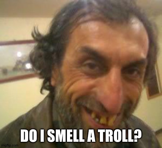 Ugly Guy | DO I SMELL A TROLL? | image tagged in ugly guy | made w/ Imgflip meme maker