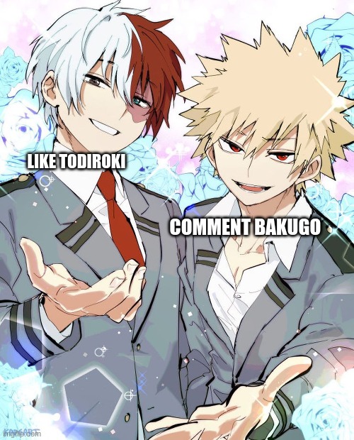 Like or Comment | LIKE TODIROKI; COMMENT BAKUGO | image tagged in anime,todoroki,bakugo,funny,fun | made w/ Imgflip meme maker