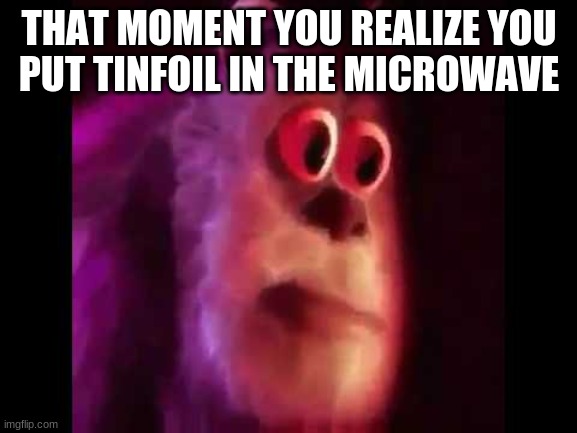 Sully Groan | THAT MOMENT YOU REALIZE YOU  PUT TINFOIL IN THE MICROWAVE | image tagged in sully groan | made w/ Imgflip meme maker