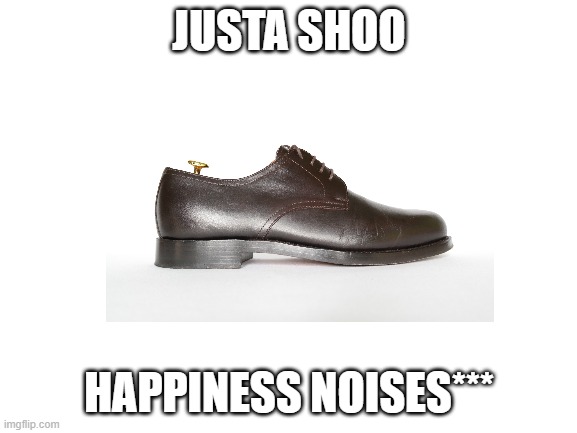 JUSTA SHOO; HAPPINESS NOISES*** | image tagged in random,shoe,huh,wat,okay,toes | made w/ Imgflip meme maker