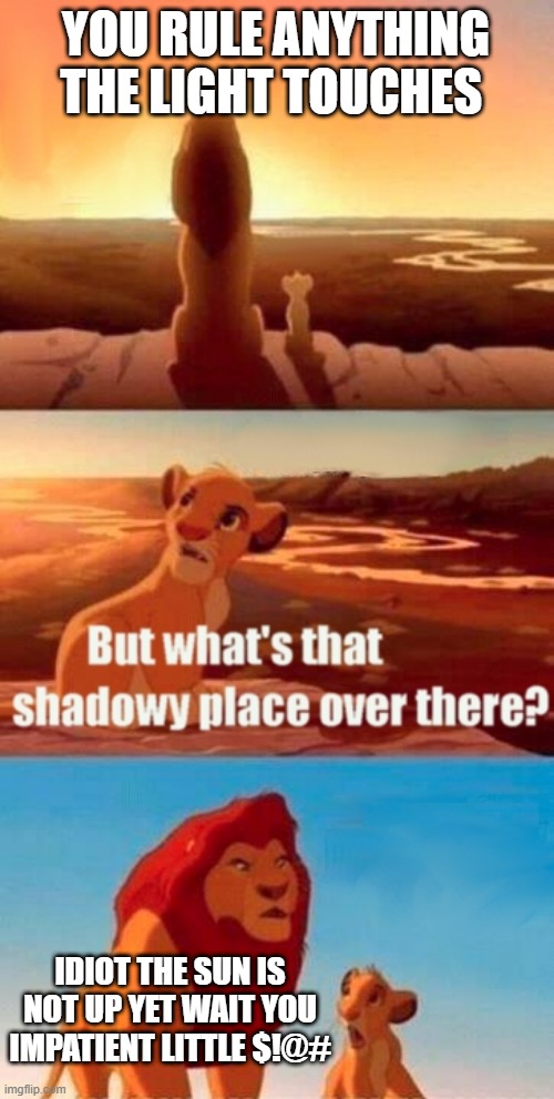 Simba Shadowy Place | YOU RULE ANYTHING THE LIGHT TOUCHES; IDIOT THE SUN IS NOT UP YET WAIT YOU IMPATIENT LITTLE $!@# | image tagged in memes,simba shadowy place | made w/ Imgflip meme maker