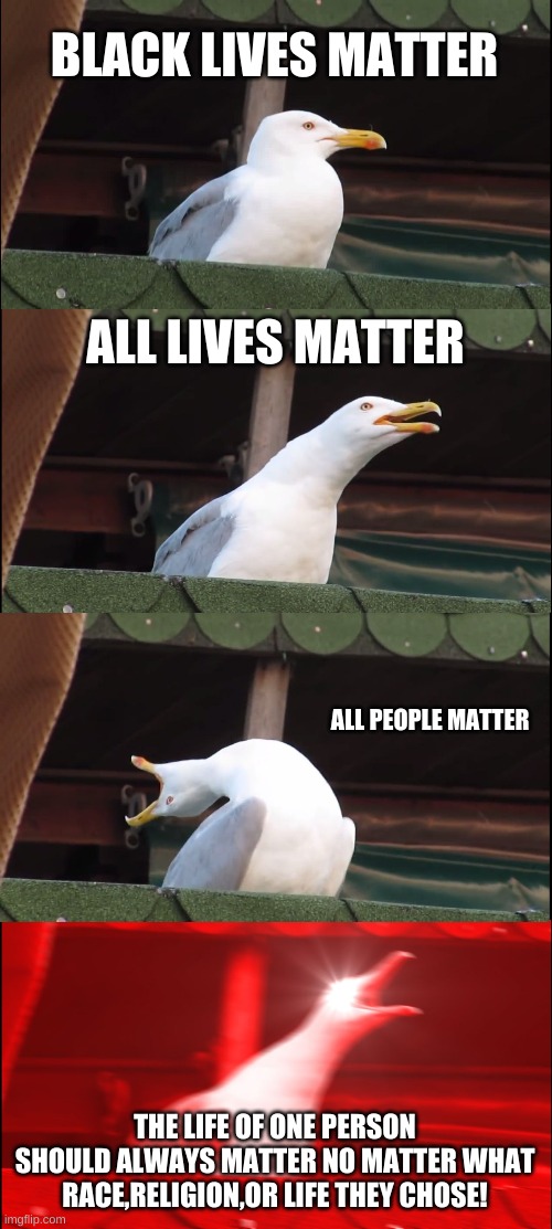 Le Truth | BLACK LIVES MATTER; ALL LIVES MATTER; ALL PEOPLE MATTER; THE LIFE OF ONE PERSON SHOULD ALWAYS MATTER NO MATTER WHAT RACE,RELIGION,OR LIFE THEY CHOSE! | image tagged in memes,inhaling seagull,black lives matter,truth,all lives matter | made w/ Imgflip meme maker