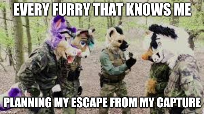 Again true... You guys are all great frens... I wish you all were my brothers and sisters... | EVERY FURRY THAT KNOWS ME; PLANNING MY ESCAPE FROM MY CAPTURE | image tagged in furries on the attac 2 | made w/ Imgflip meme maker