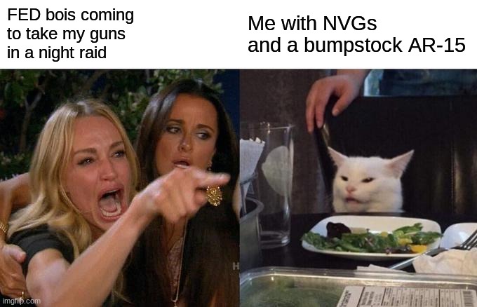 Surprise FED bois | FED bois coming
to take my guns
in a night raid; Me with NVGs
and a bumpstock AR-15 | image tagged in memes,woman yelling at cat | made w/ Imgflip meme maker