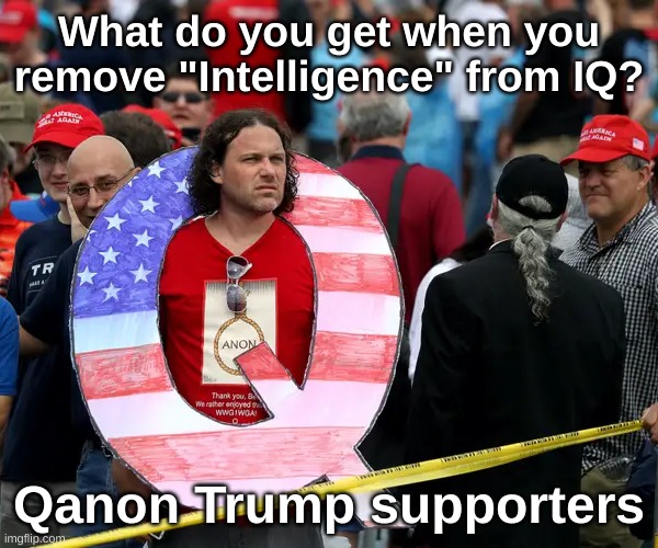 Trump Qanon supporter | What do you get when you remove "Intelligence" from IQ? Qanon Trump supporters | image tagged in qanon trump,trump,election,republican,intelligence,qanon | made w/ Imgflip meme maker