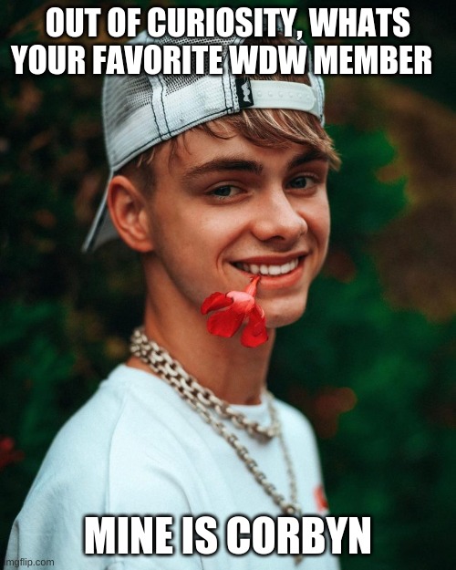 OUT OF CURIOSITY, WHATS YOUR FAVORITE WDW MEMBER; MINE IS CORBYN | image tagged in wdw,why don't we,corbyn besson | made w/ Imgflip meme maker