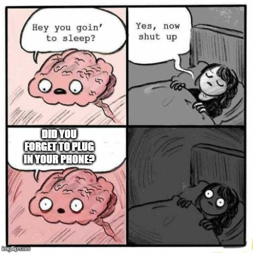 Hey you going to sleep? | DID YOU FORGET TO PLUG IN YOUR PHONE? | image tagged in hey you going to sleep | made w/ Imgflip meme maker